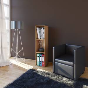 Open kast Mendas Beukenhouten look