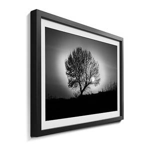 Tableau déco Lonely Tree Tilleul massif - Noir / Blanc