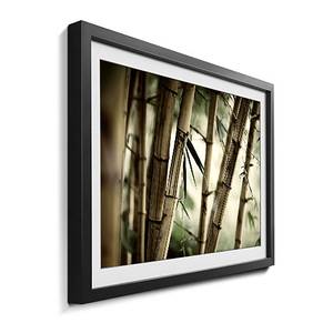 Bild Bamboo Forest Massivholz Linde - Mehrfarbig