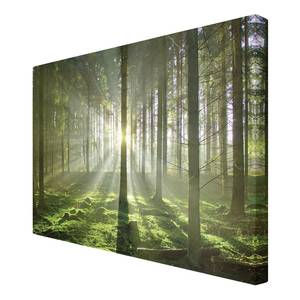Bild Spring Fairytale Leinwand /  Massivholz Fichte - Mehrfarbig - 60 x 40 cm