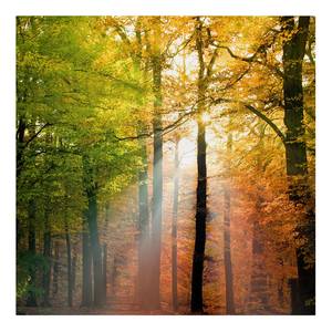 Bild Morning Light Leinwand /  Massivholz Fichte - Mehrfarbig - 30 x 30 cm