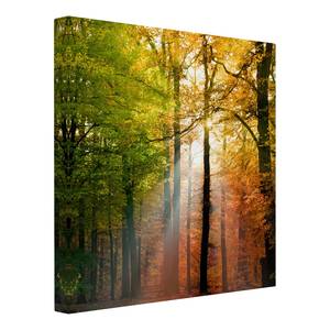Tableau déco Morning Light Toile / Épicéa massif - Multicolore - 30 x 30 cm