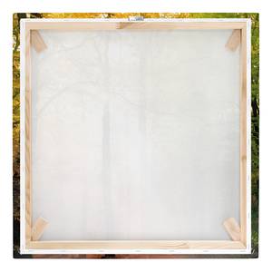 Tableau déco Morning Light Toile / Épicéa massif - Multicolore - 80 x 80 cm