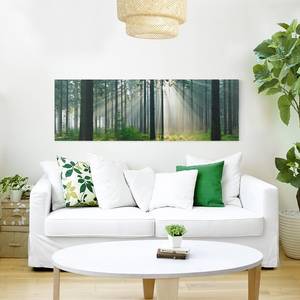 Tableau déco Enlightened Forest Toile / Épicéa massif - Multicolore - 90 x 30 cm