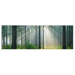 Tableau déco Enlightened Forest Toile / Épicéa massif - Multicolore - 120 x 40 cm