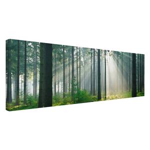 Afbeelding Enlightened Forest canvas/massief sparrenhout - meerdere kleuren - 120 x 40 cm