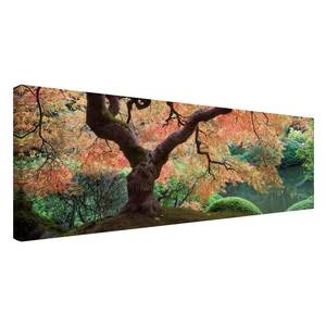 Bild Japanischer Garten I Leinwand /  Massivholz Fichte - Mehrfarbig - 120 x 40 cm