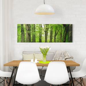 Bild Mighty Beech Trees Leinwand /  Massivholz Fichte - Mehrfarbig - 90 x 30 cm