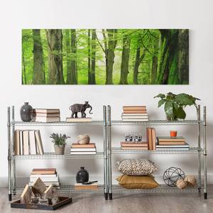 Bild Mighty Beech Trees Leinwand /  Massivholz Fichte - Mehrfarbig - 90 x 30 cm