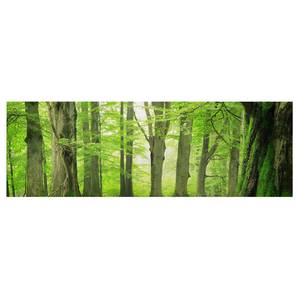 Tableau déco Mighty Beech Trees Toile / Épicéa massif - Multicolore - 120 x 40 cm