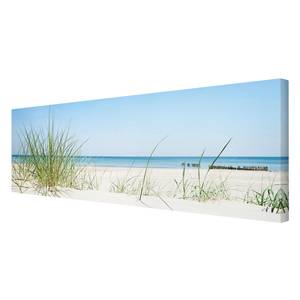 Bild Ostseeküste I Leinwand /  Massivholz Fichte - Mehrfarbig - 90 x 30 cm