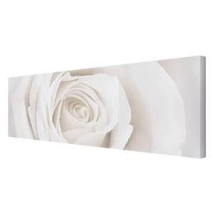 Tableau déco Pretty White Rose I Toile / Épicéa massif - Multicolore - 90 x 30 cm