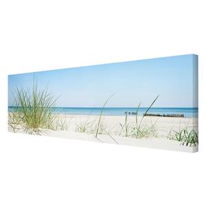 Bild Ostseeküste I Leinwand /  Massivholz Fichte - Mehrfarbig - 120 x 40 cm