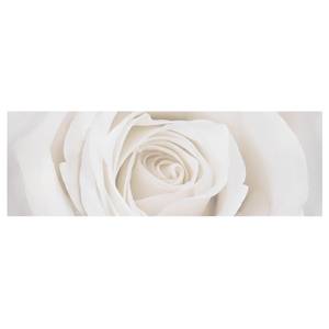 Afbeelding Pretty White Rose I canvas/massief sparrenhout - meerdere kleuren - 150 x 50 cm