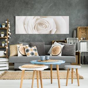 Bild Pretty White Rose I Leinwand /  Massivholz Fichte - Mehrfarbig - 150 x 50 cm