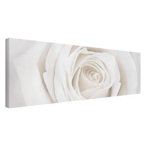 Tableau déco Pretty White Rose I Toile / Épicéa massif - Multicolore - 150 x 50 cm