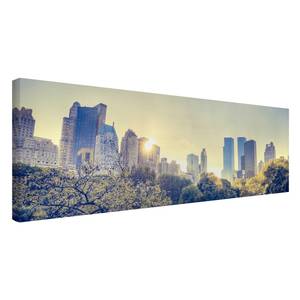 Bild Peaceful Central Park - New York Leinwand /  Massivholz Fichte - Mehrfarbig - 90 x 30 cm