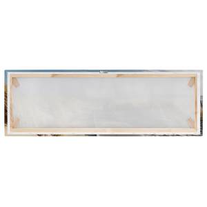 Bild Ostseestrand I Leinwand /  Massivholz Fichte - Mehrfarbig - 120 x 40 cm