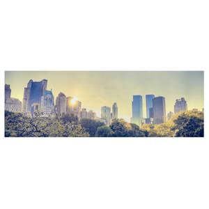 Bild Peaceful Central Park - New York Leinwand /  Massivholz Fichte - Mehrfarbig - 120 x 40 cm