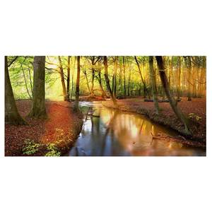 Bild Autumn Fairytale Leinwand /  Massivholz Fichte - Mehrfarbig - 60 x 30 cm