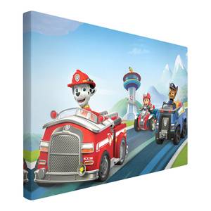 Bild Paw Patrol Leinwand /  Massivholz Fichte - Mehrfarbig - 60 x 40 cm