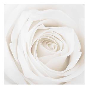 Afbeelding Pretty White Rose II ESG-veiligheidsglas - meerdere kleuren - 30 x 30 cm