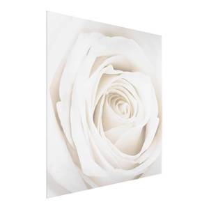 Afbeelding Pretty White Rose II ESG-veiligheidsglas - meerdere kleuren - 30 x 30 cm