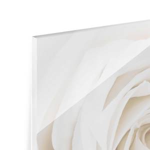 Tableau déco Pretty White Rose II Verre de sécurité ESG - Multicolore - 50 x 50 cm