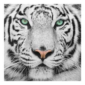 Bild Weißer Tiger ESG Sicherheitsglas - Mehrfarbig - 50 x 50 cm
