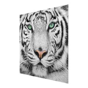 Tableau déco tigre blanc Verre de sécurité ESG - Multicolore - 50 x 50 cm