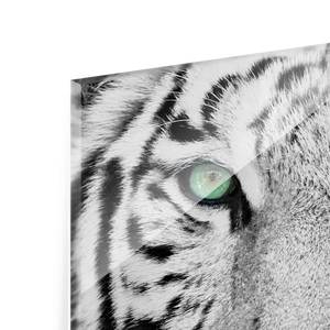 Tableau déco tigre blanc Verre de sécurité ESG - Multicolore - 30 x 30 cm