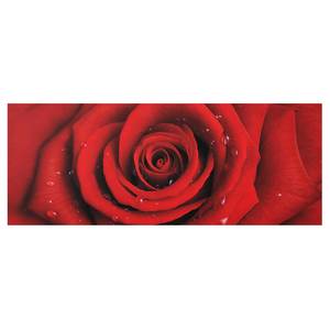 Bild Rote Rose mit Wassertropfen ESG Sicherheitsglas - Mehrfarbig - 100 x 40 cm