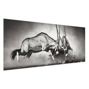 Afbeelding Wild Gevecht ESG-veiligheidsglas - meerdere kleuren - 80 x 30 cm