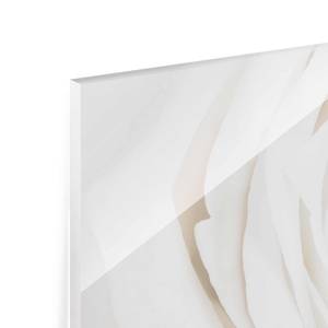 Bild Pretty White Rose II ESG Sicherheitsglas - Mehrfarbig - 125 x 50 cm