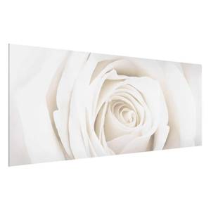 Tableau déco Pretty White Rose II Verre de sécurité ESG - Multicolore - 100 x 40 cm