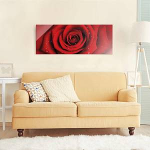 Bild Rote Rose mit Wassertropfen ESG Sicherheitsglas - Mehrfarbig - 80 x 30 cm