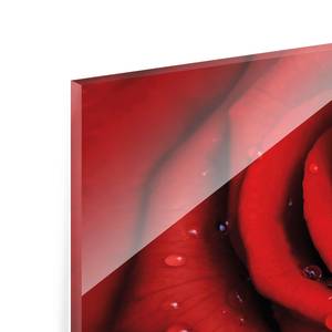 Bild Rote Rose mit Wassertropfen ESG Sicherheitsglas - Mehrfarbig - 80 x 30 cm