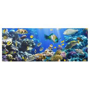 Tableau déco Underwater Reef Verre de sécurité ESG - Multicolore - 125 x 50 cm