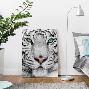 Tableau déco tigre blanc Verre de sécurité ESG - Multicolore - 75 x 100 cm