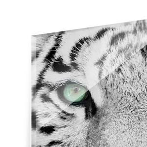 Tableau déco tigre blanc Verre de sécurité ESG - Multicolore - 75 x 100 cm
