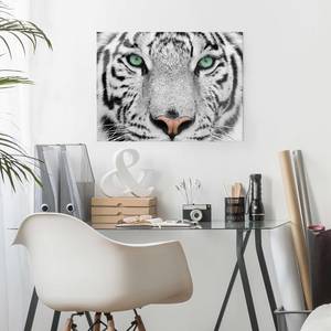 Afbeelding Witte Tijger ESG-veiligheidsglas - meerdere kleuren - 80 x 60 cm