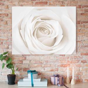 Afbeelding Pretty White Rose II ESG-veiligheidsglas - meerdere kleuren - 80 x 60 cm