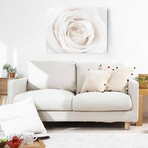 Afbeelding Pretty White Rose II ESG-veiligheidsglas - meerdere kleuren - 80 x 60 cm