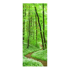 Tableau déco chemin dans la forêt Verre de sécurité ESG - Multicolore - 40 x 100 cm