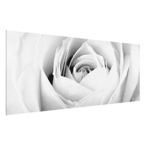 Afbeelding Close Up Rose ESG-veiligheidsglas - meerdere kleuren - 100 x 40 cm