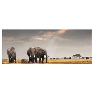 Bild Elefanten der Savanne ESG Sicherheitsglas - Mehrfarbig - 100 x 40 cm