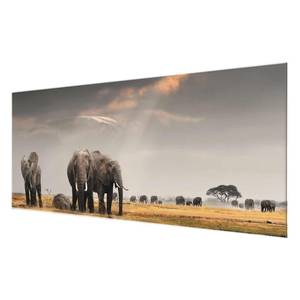 Tableau déco éléphants dans la savane Verre de sécurité ESG - Multicolore - 100 x 40 cm