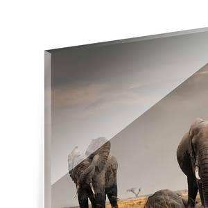 Tableau déco éléphants dans la savane Verre de sécurité ESG - Multicolore - 100 x 40 cm