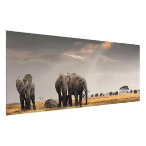 Bild Elefanten der Savanne ESG Sicherheitsglas - Mehrfarbig - 125 x 50 cm