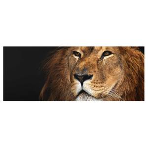 Tableau déco lion Verre de sécurité ESG - Multicolore - 100 x 40 cm